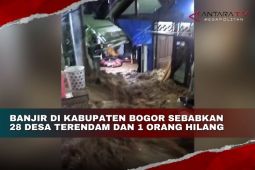 Banjir di Kabupaten Bogor sebabkan 28 desa terendam dan 1 orang hilang