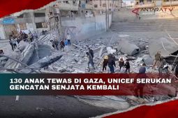 130 anak tewas di Gaza, Unicef serukan gencatan senjata kembali