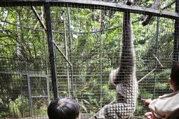 Polda Lampung giatkan pengamanan lokasi wisata pada libur Lebaran 2025