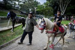 Wisata Jaletreng Riverpark