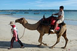 Wisata naik unta saat liburan Idul Fitri di Bali