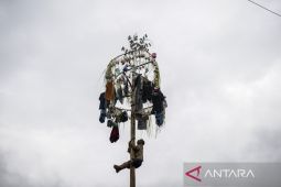 Tradisi panjat pinang Lebaran