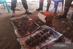 16 buah granat aktif ditemukan pengungsi Gunung Lewotobi