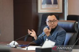 DPR dorong pemerintah antisipasi dampak tarif  AS