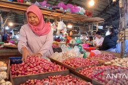 Harga sembako di Kota Jambi terpantau menurun