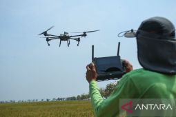 Pupuk Indonesia menyalurkan 1,7 juta ton pupuk bersubsidi di kuartal I