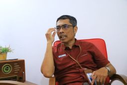 Pengamat: Wali Kota Depok berpotensi korupsi izinkan mobil dinas untuk mudik