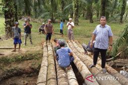 Pemkab Nagan Raya bangun jembatan darurat atasi isolir di Tadu Raya