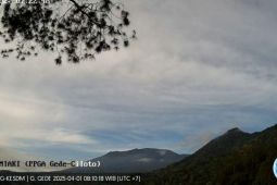 Aktivitas kegempaan Gunung Gede Jawa Barat meningkat