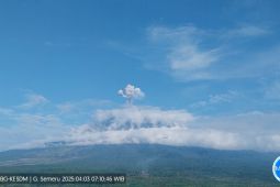 Gunung Semeru erupsi dengan letusan 900 meter dari atas puncak