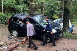 Wisatawan kemah di Karanganyar tewas tertimpa pohon