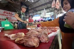Harga daging di Pangkalpinang turun jadi Rp138.000/kilogram