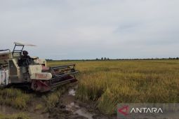 DPRD Penajam  motivasi petani wujudkan ketahanan pangan tunjang IKN