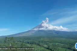 Gunung Semeru erupsi empat kali disertai letusan hingga setinggi 800 meter