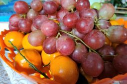 Tak hanya buah segar, buah beku juga ampuh jaga kesehatan tubuh