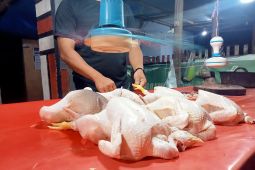 Harga ayam potong naik jelang perayaan Lebaran Ketupat di Bone Bolango