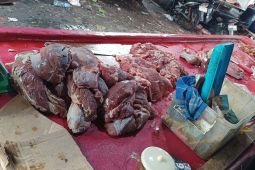 Harga daging sapi di Pasar Daya Makassar relatif stabil pasca lebaran