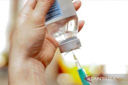 Kasus penyakit campak di AS menyebar ke hingga ke 27 negara bagian