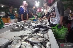 Pasokan ikan segar di Pasar Pangkalpinang kurang