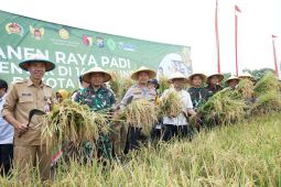 Pemkot Kediri: Panen raya jadi penguat ketahanan pangan lokal