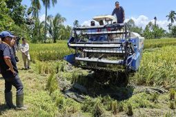 Bupati HSU lanen raya padi di Hambuku Hulu
