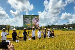 Sultan HB X minta petani Kulon Progo daftarkan lahan abadi