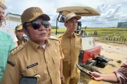 Pemprov Sumsel targetkan produksi  padi 3,5 juta ton GKP pada 2025