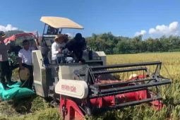 Ponorogo optimistis surplus beras lewat panen raya bertahap