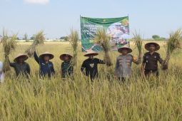 Bupati Probolinggo: Sektor pangan jadi prioritas pembangunan