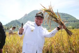 Bupati Garut: Panen raya bentuk pemerintah jamin kedaulatan pangan