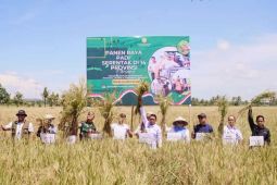 Sidrap Sulsel jadi salah satu lokasi panen raya serentak Presiden Prabowo