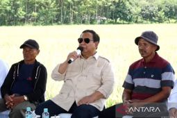 Pengamat: ada operasi politik hancurkan orang kepercayaan presiden