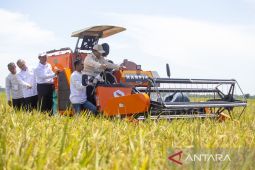 Prabowo says Indonesia achieves record rice reserves