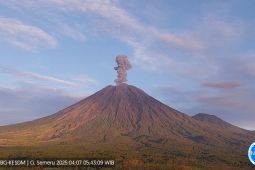 Semeru alami erupsi dengan tinggi letusan 800 meter di atas puncak