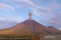 Semeru muntahkan abu 800 meter di atas puncak