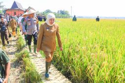 Khofifah: Jatim siap jaga peran sebagai lumbung pangan nasional