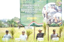 Pemkot Madiun minta petani optimalkan produksi padi di lahan terbatas