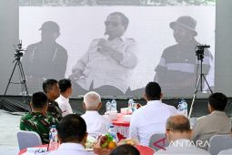 Tanaman padi, Bobby minta bantuan Presiden perbaiki tanggul irigasi