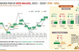 BPS catat produksi GKG Kota Malang 2024 naik 1,73 persen