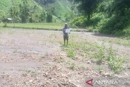 Pemprov NTB diminta pulihkan jaringan irigasi pascabanjir di Wera Bima