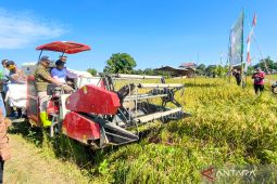 Kabupaten HST duduki peringkat pertama produksi padi se-Banua Enam