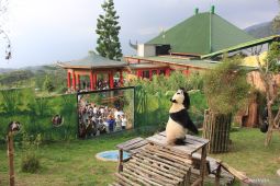 Taman Safari komitmen perkuat destinasi wisata Indonesia di mata dunia