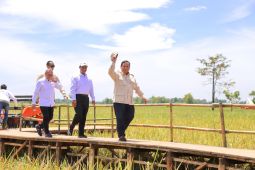 Mentan: HPP gabah Rp6.500/kg keberpihakan Presiden Prabowo ke petani