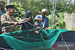 BPPP Ambon  edukasi kelompok budidaya ikan dengan sistem bioflok