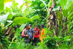 Tim SAR hentikan pencarian lansia hilang di hutan Pabuaran