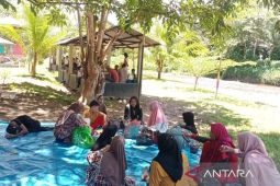 BUMDesa Mandiri Tapsel jadi motor penggerak wisata desa: Eksis di libur Lebaran