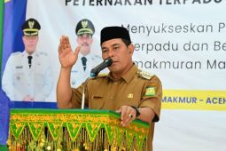 Kembangkan sektor peternakan, ini yang perlu dilakukan