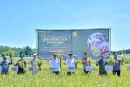 Kalsel kemarin dari panen raya padi hingga darurat sampah