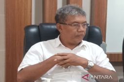 Pergerakan wisatawan di Sleman selama Idul Fitri capai 436.596 kunjungan
