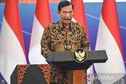 Luhut sebut perlambatan ekonomi lumrah terjadi di masa transisi